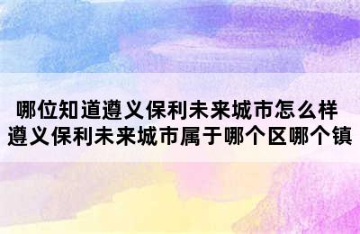 哪位知道遵义保利未来城市怎么样 遵义保利未来城市属于哪个区哪个镇